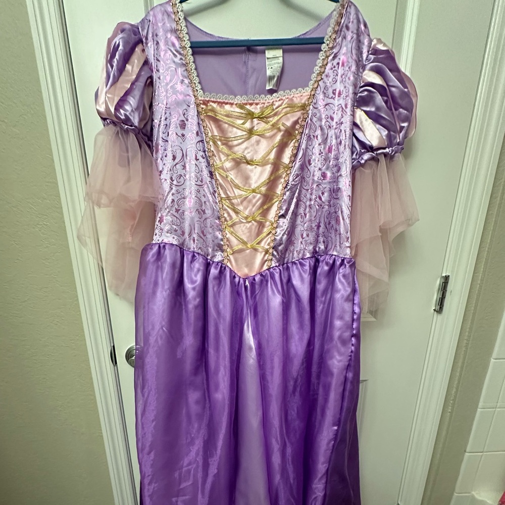 Disney Tangled/Rapunzel adult costume.